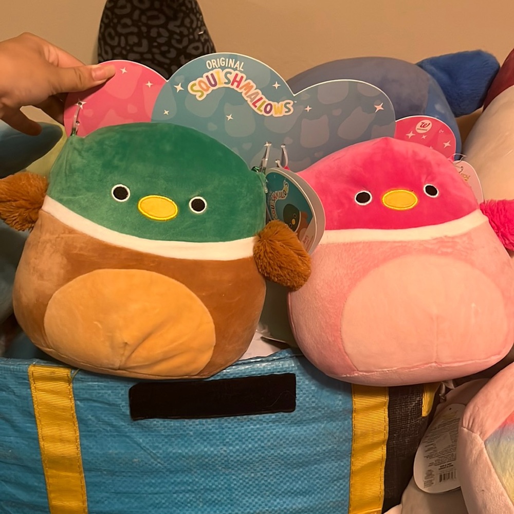 duck squishmallow bundle 8in